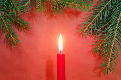 BOLSIUS RED TAPERED DINNER CANDLES 245MM 7.5H 10/PK. 103600352241