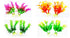 Small Aquarium Plants - Assorted Design Set 2201