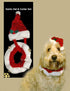 CHRISTMAS FESTIVE PET SANTA HAT BELL COLLAR SET. Z98697 DP54148