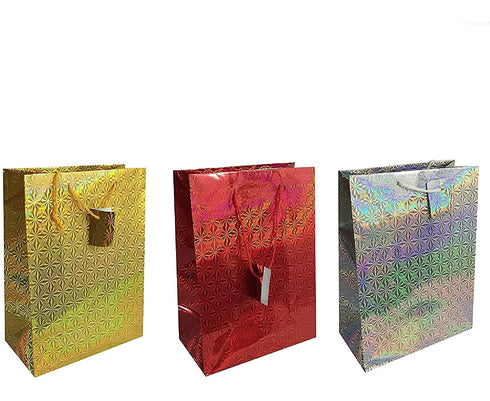 Holographic Gift Bags - 12/PK COUNTY Medium Size C304