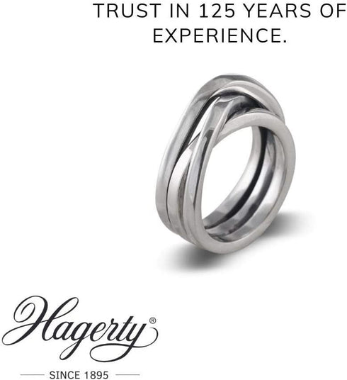 Silver Cleaning Solution - HAGERTY SILVER CLEAN 170ML A116074