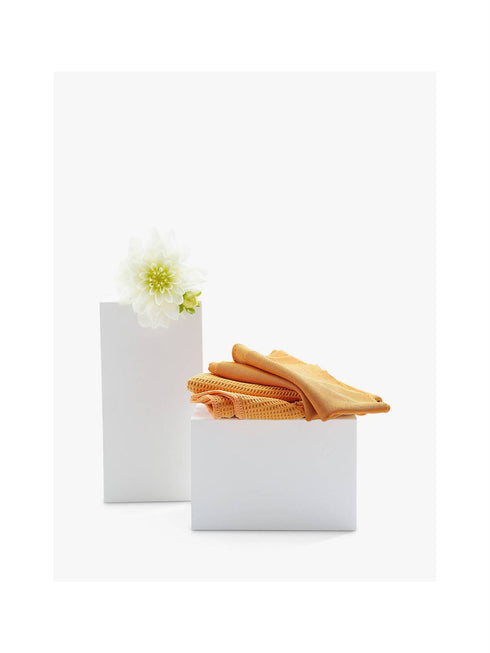 Window Cleaning Pack - E-Cloth 2/PK WIP for Streak-Free Shine