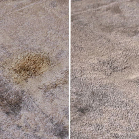 High Concentrate Shampoo - HAGERTY 5 Star for 60m2 Coverage