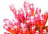 RED BATTERY OPERATED 40 LED STRING. BML88820_RED