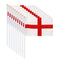 SHATCHI ENGLAND ST GEORGE HAND FLAG 10/PK. 116612