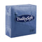 BULKY SOFT 2PLY 4 FOLD NAPKINS 40CM X 40CM 100/PK - BLUE. 32085