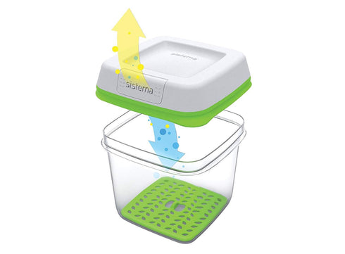 SISTEMA MEDIUM SQUARE FRESHWORKS ASSORTED COLOUR LID. S53110