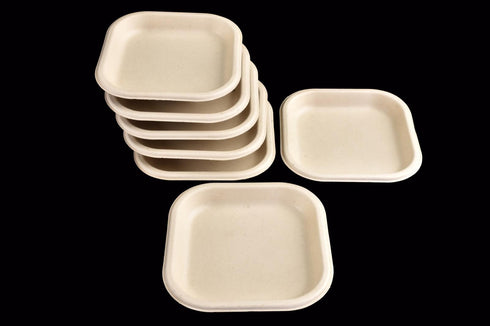 Biodegradable Party Plates 7 Inch - Eco-Friendly Tableware