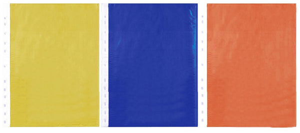 Coloured Punched Pockets 30-Pack - Durable CLPN Organizers