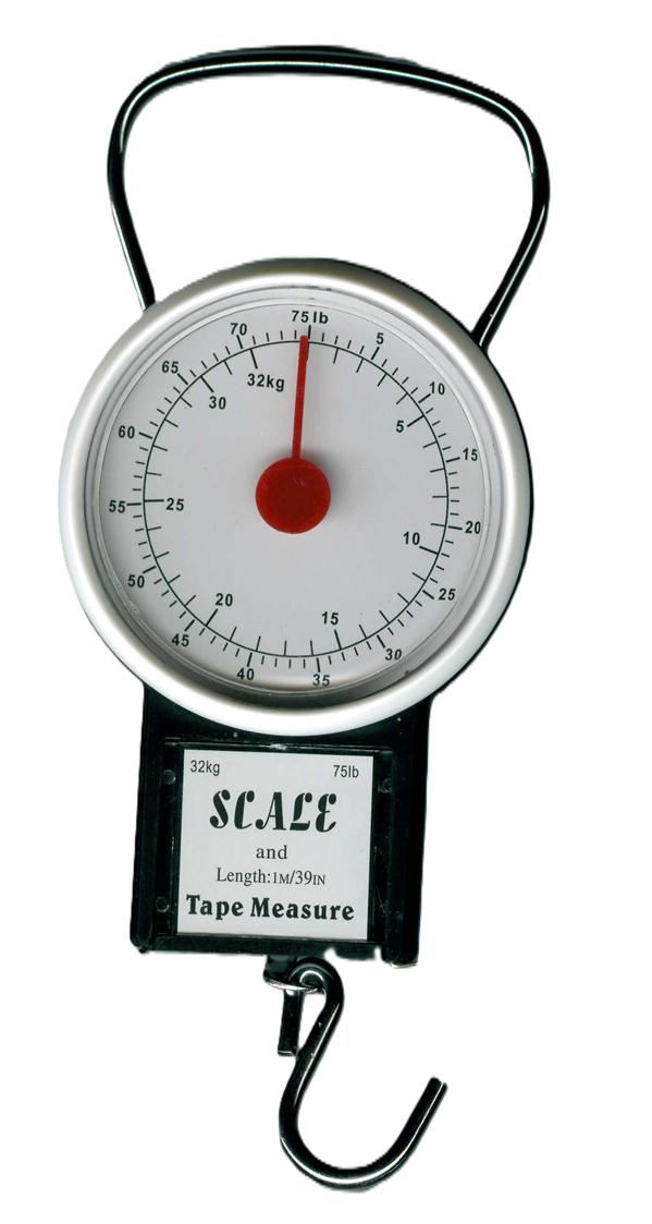Travel Luggage Scale - Portable Weighing up to 32KG | JL1956