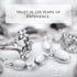 Silver Polishing Cloth - Hagerty 30cm x 36cm A100698